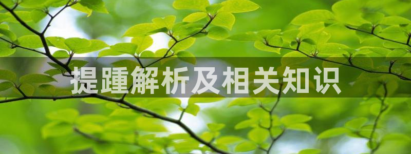 龙8国际官网手机登录