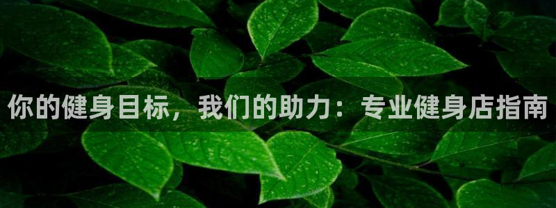 龙8游戏城网址